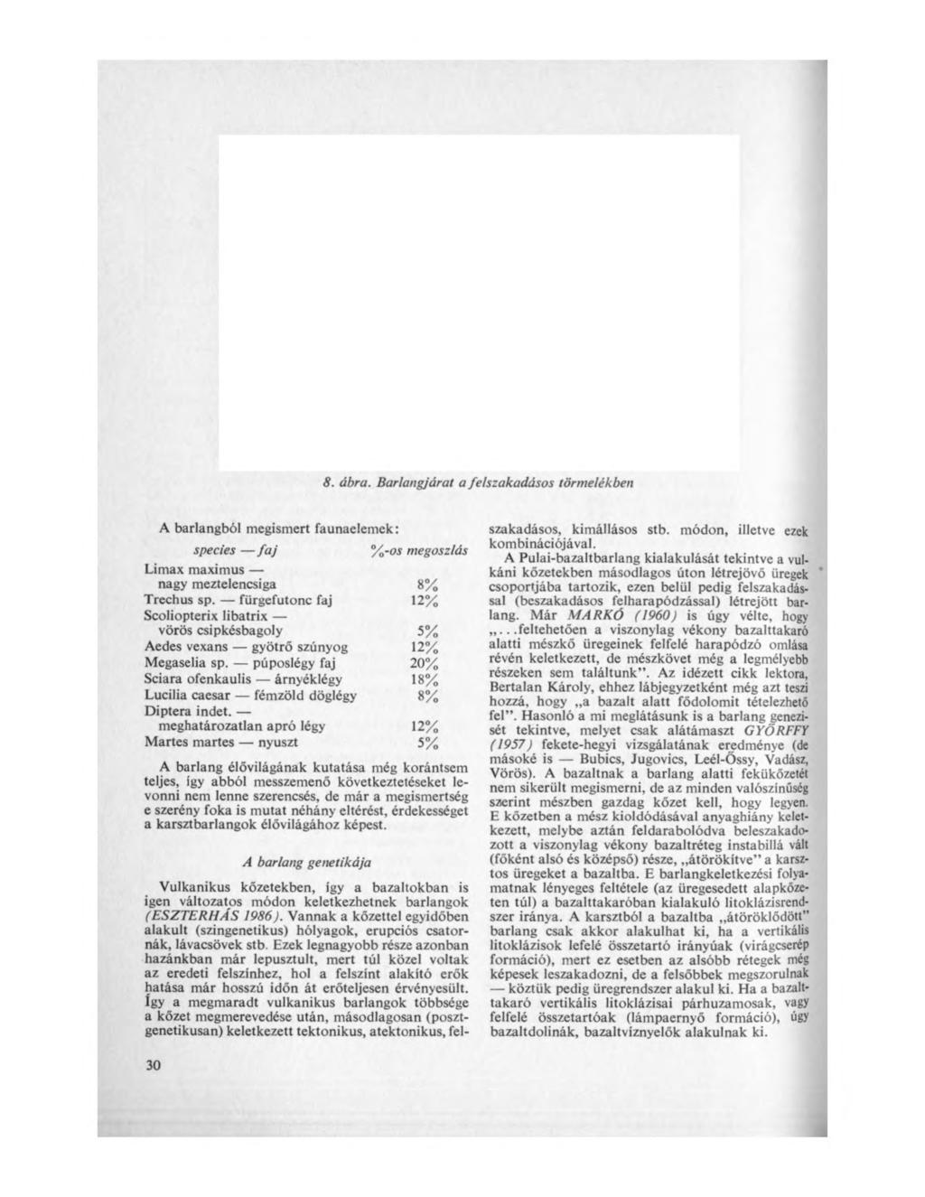 8. ábra. Barlangjárat a felszakadásos törmelékben A barlangból megismert faunaelemek: species faj %-os megoszlás Limax maximus nagy meztelencsiga 8% Trechus sp.