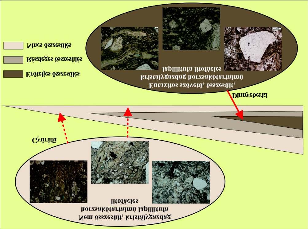 352 SZEMERÉDI Máté et al.: A Gyűrűfűi Riolit Formáció kőzettani vizsgálata a felszíni előfordulások alapján (Nyugati-Mecsek) 9. ábra.