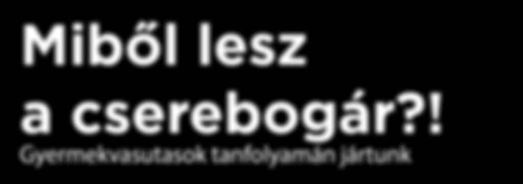 Az óra első fele kérdezz-felelek, ami egyáltalán nem játék, hiszen komoly, a Gyermekvasút működésével kapcsolatos tananyagról van szó.