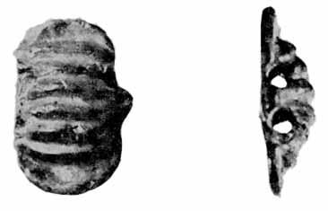 These special beads are called Rippen-glasperlen (Noll 1963, 68) or Trilobitenperlen (Haevernick 1974, 105) in the literature.
