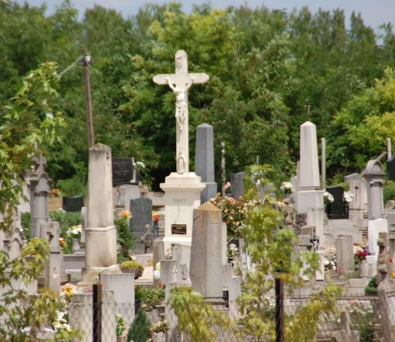 A sírkert egésze kiemelt figyelmet érdemel, javasolt kertészeti eszközökkel, a