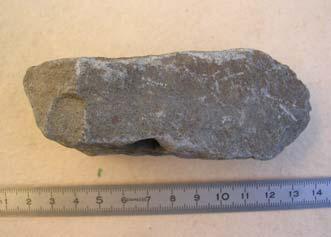 basalt organ   
