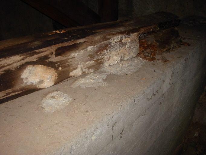 16. fotó A szerkezet átgondolatlan, kapcsolatai esetlegesek, így azt vélelmezem,