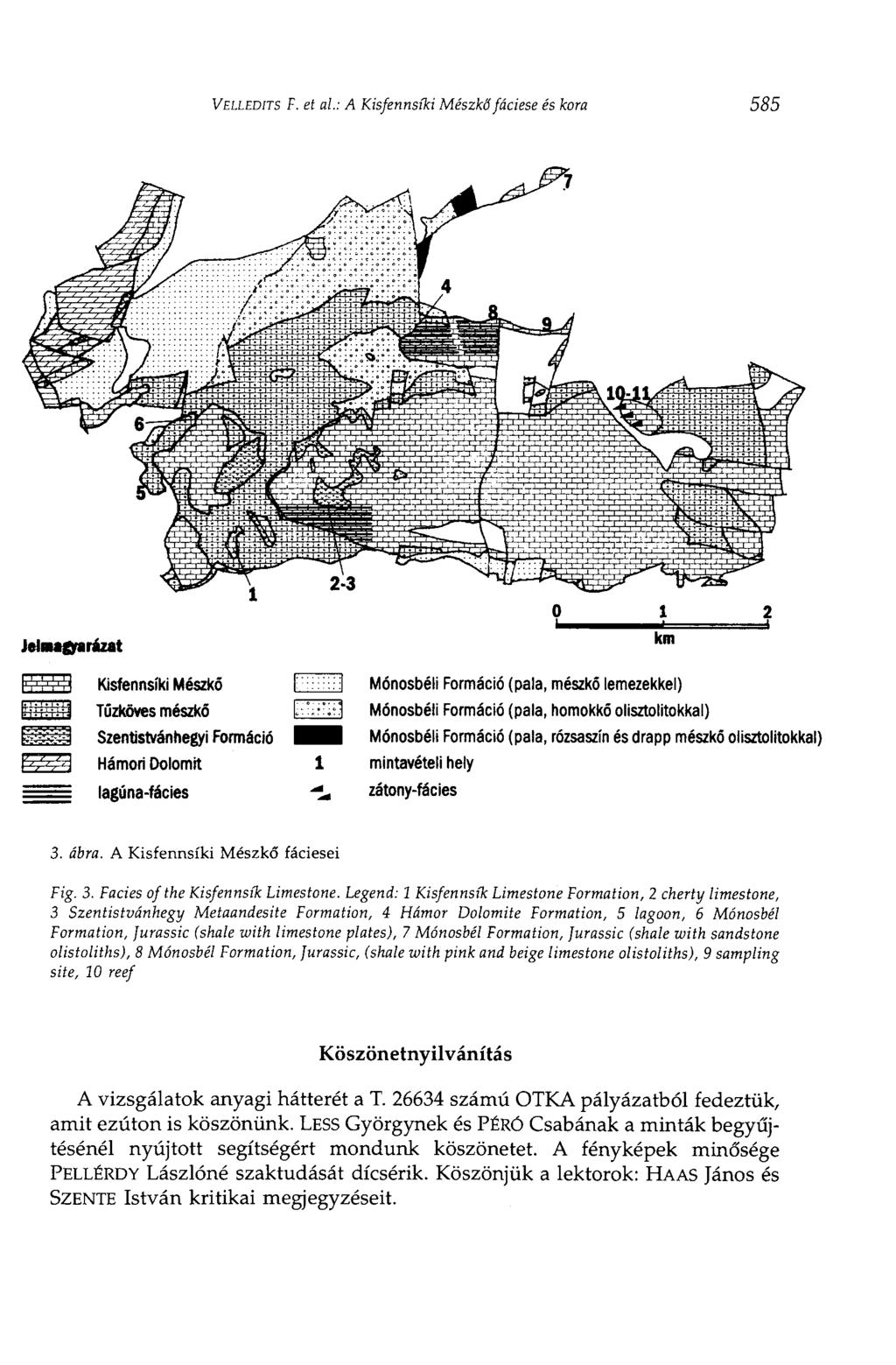 VELLEDITS F. et al: A Kisfennsíki Mészkőfáciese és kora 585 3. ábra. A Kisfennsíki Mészkő fáciesei Fig. 3. Facies of the Kisfennsík Limestone.