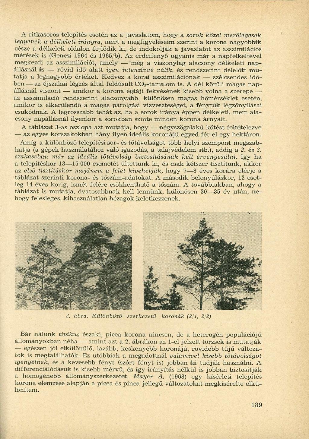 A ritkasoros telepítés esetén az a javaslatom, hogy a sorok közel merőlegesek legyenek a délkeleti irányra, mert a megfigyeléseim szerint a korona nagyobbik része a délkeleti oldalon fejlődik ki, de
