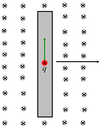 Mozgási indukció Ha egy vezetőt mágneses térben mozgatunk akkor a benne lévő töltésekre Lorentz-erő hat.