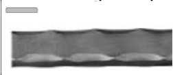 003 40x8mm 3000m 3m hoszzban 40x11mm 30.
