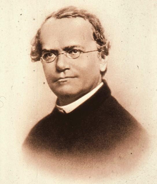 átörökítő DNS átrendeződése (rekombináció), illetőleg a DNS szerkezetében beálló változás (mutáció).