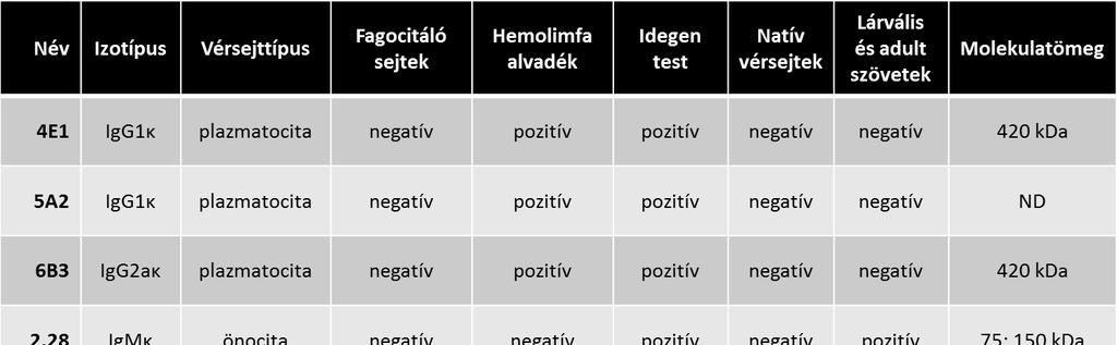 Eredmények IV.8 A mézelő méh vérsejtjein azonosított markermolekulák jellemzésének összefoglalása A vizsgálatok során részletesen elemeztük a 4E1, 5A2, 6B3 plazmatocita, 2.28, 4.19, 3B6 önocita és 4.