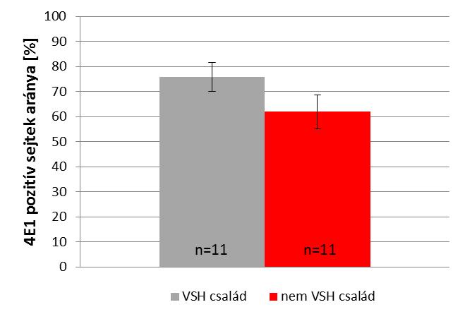 Eredmények IV.12 Varroa szenzitív higiénikus képességű (VSH) méhcsaládok vizsgálata A méhek egyedi immunválaszukat alternatív védekezési stratégiákkal is kiegészítik, tisztogatási végeznek.