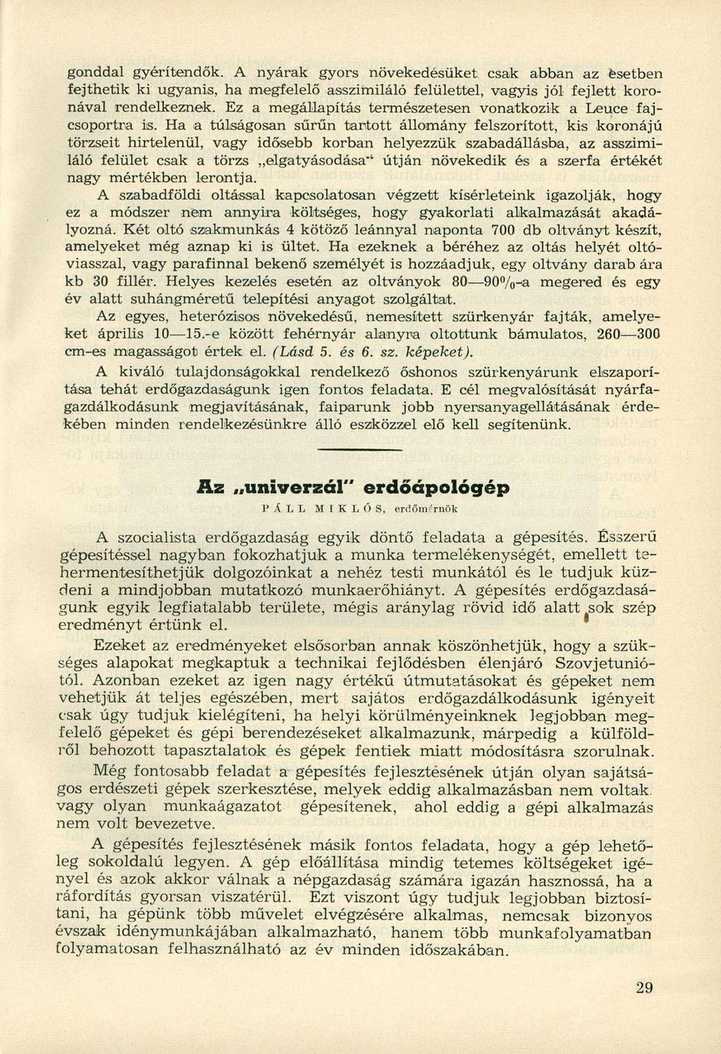gonddal gyérítendők. A nyarak gyors növekedésüket csak abban az esetben fejthetik ki ugyanis, ha megfelelő asszimiláló felülettel, vagyis jól fejlett koronával rendelkeznek.