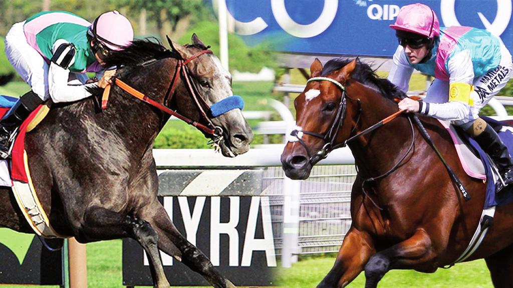 Nemzetközi galopp HÍREK Arrogate vagy Frankel a XXI. század legnagyobbja?