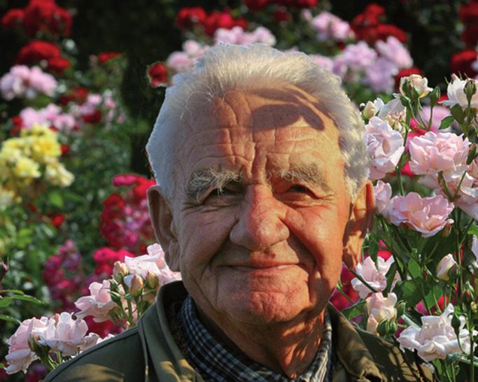 RÓZSA-ÚJSÁG TOVÁBB ÉLNEK MÁRK GERGELY RÓZSÁI! Kigyóssy-Schmidt Éva 2012-ben ment el tölünk nagyrabecsült és szeretett barátunk Márk Gergely.