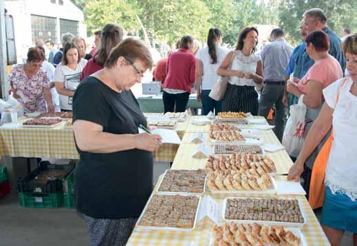 A korábbi évekhez képest előrelépés, hogy már van pre-sowing gyomirtó szer, ami egy komoly problémát orvosolt, a vegyszermentesség kritériuma viszont kizárja a fungicides csávázást, csak az
