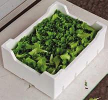 2309,- 5131,11 Bresc wasabi-dip 325 g 951,97 1209,- 3720,- Bresc Parillada Aio e Lemone 450 g 1940,94 2465,-