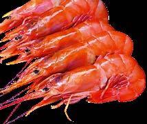 16/20 1 kg Akció/ Tipp 27% 21/25 1 kg Akció 27% 26/30 1 kg 27% 31/40 1 kg Argentin rák