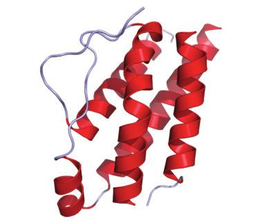 2014/4. Acta Pharmaceutica Hungarica 137 Acta Pharmaceutica Hungarica 84. 137-143 2014. Bioszenzorok alkalmazhatósága a gyógyszerkutatás szemszögéből KRISTÓ KATALIN, SOVÁNY TAMÁS, HÓDI KLÁRA*, IFJ.