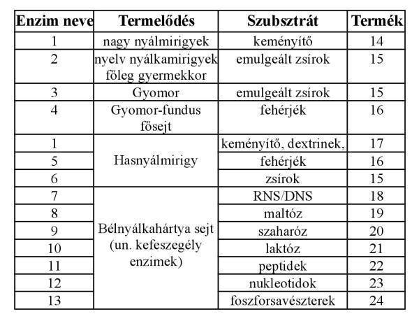 Élettan1 ea (zh2) / (Áttekintés) (1. csoport) : Start 2018-10-13 12:26:32 Név: Minta Diák 1. (1.1) Milyen folyamatot ábrázol az ábra? Nevezze meg a számozott részeket! (1.2) A(z) 1 jelű rész neve: (1.