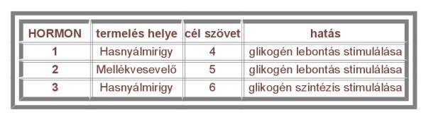 (4.1) Milyen folyamatot ábrázol az ábra? Nevezze meg a számozott részeket! (4.