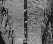 Morfológiai bélyegei alapján a talaj kielégíti a WRB Gleysol-ok kategóriáját, melynek feltétele, hogy a talaj felső 50 cm-ében legalább 50% glejes mintázottságot mutat. 3. táblázat.