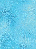 Tropical Freeze Műfaj: