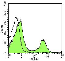 Thrombin + Convulxin 2. ábra [7] Thrombinnal és convulxinnal egyidejűleg aktivált vérlemezkék. Thrombocyták szubpopulációja (nagyjából 30%) alakul ki kb.