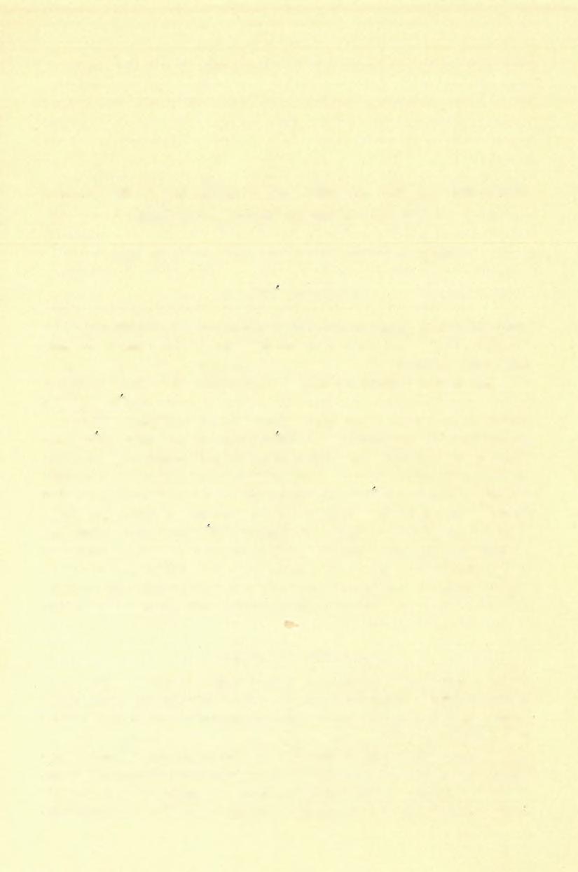 8. A Maros bal partján, Czella, Bulza és Pozsoga környékén elterülő hegyvidék geológiai viszonyai, (Jelentés az 1904. évi részletes geológiai fölvételről.) Dl. KaDIC OTTOKÁB-tÓl. Az 1904.
