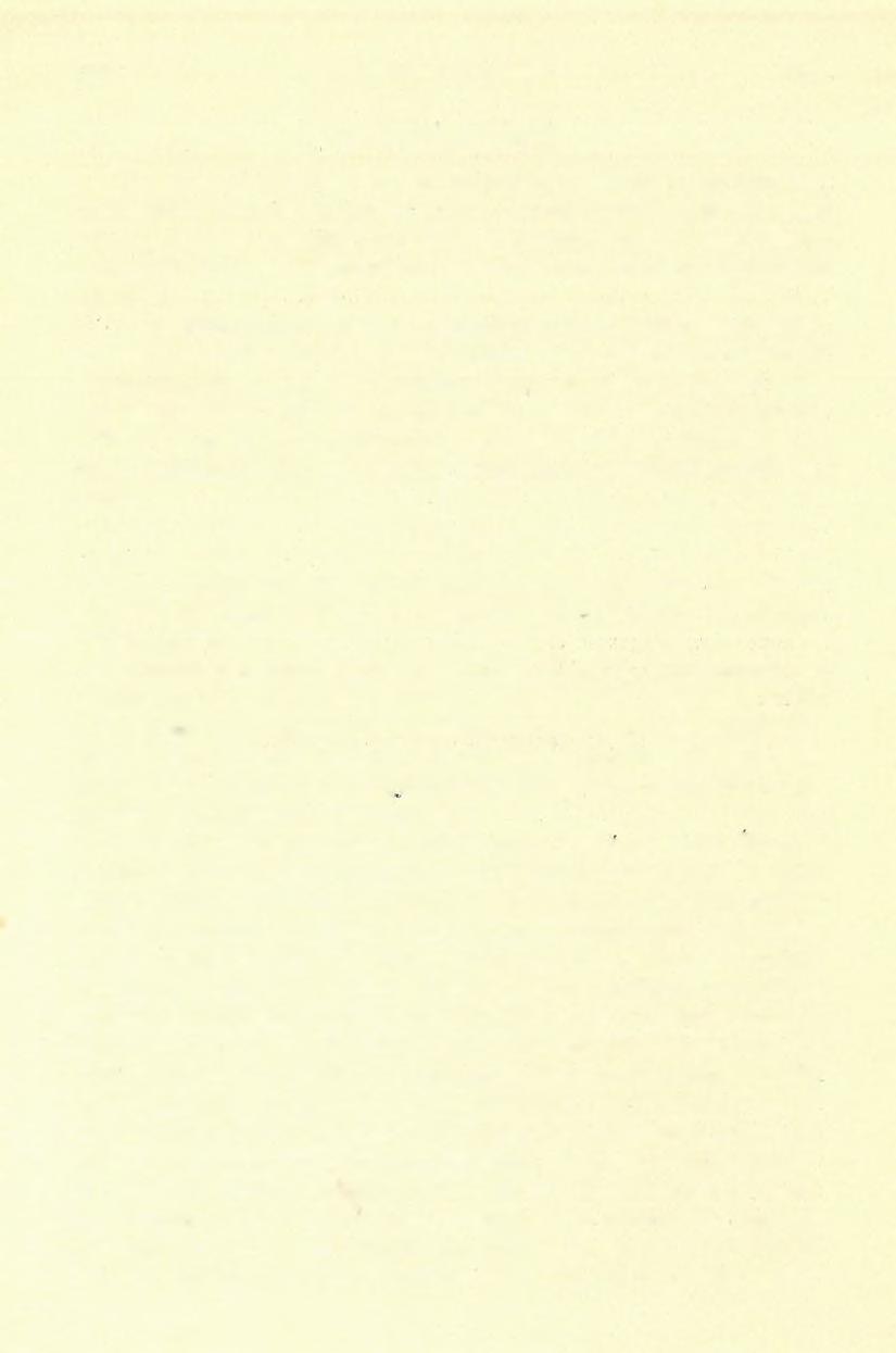 113) FÖLVÉTELI JELENTÉS. 139 3. A ugitporphyrit. A diabast helyenként augitporphyrit féle kőzet váltja fel, mely leginkább mandulaköves, gömbösen elvált, mállott alakban lép fel.