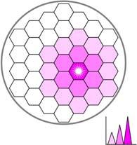 szempontjai Gamma-kamera (statikus és dinamikus vizsgálat) -