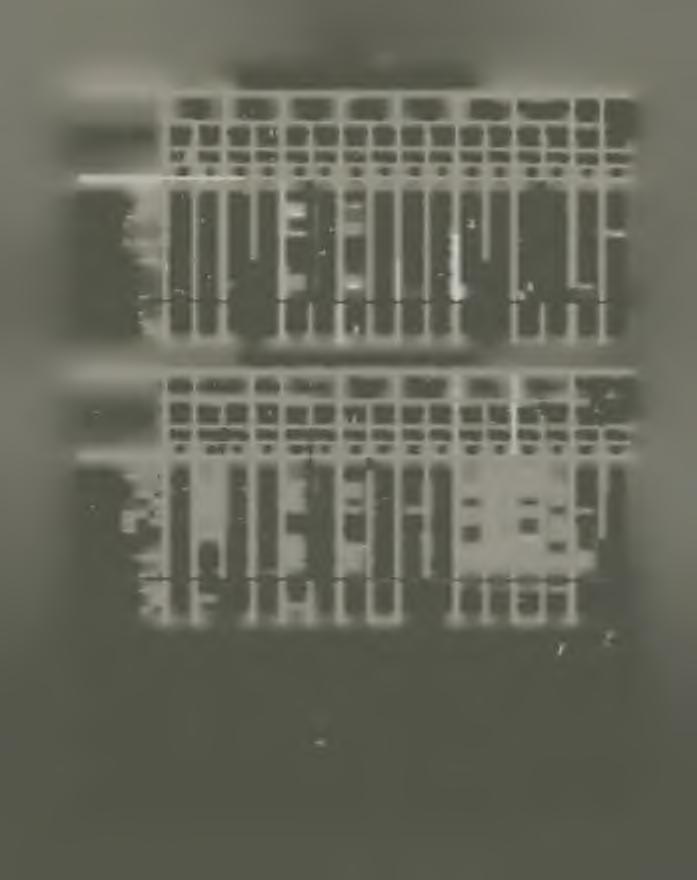 191 * '-* ' III. Jegelt (nem élő) édesvízi hal ára Budapesten. Ponty, Ponty, Harcsa, Harcsa, Csuka, Csuka, Fogas, süllő, dunai F o g a s, b a la to n i n a g y F o g a s, b a la to n i k ic s in y A.