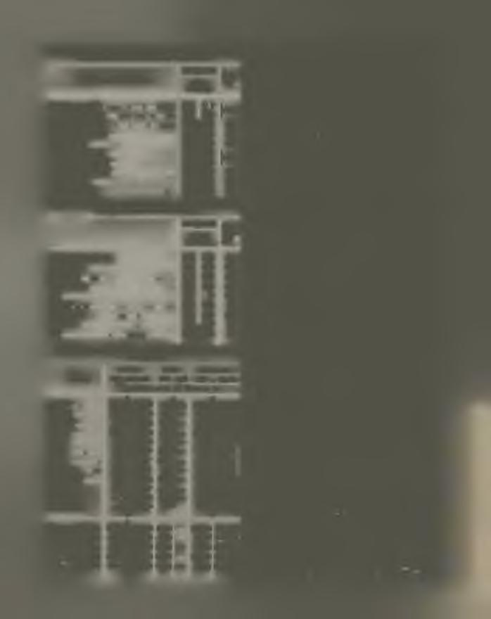 .. 123 188 50 VI. Néhány élelm iszer ára ben való árusításnál a budapesti vásárcsarnokokban. 1914 1915 i kg. fillérben Áremelkedés. 0/0 Marhahús, leveshús la.