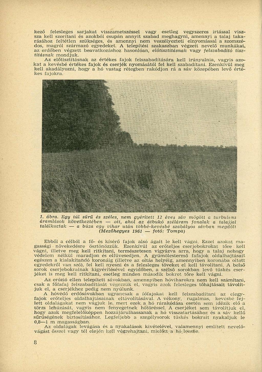 kező felesleges sarjakat visszametszéssel vagy esetleg vegyszeres irtással visz~ sza kell szorítani és azokból csupán annyit szabad meghagyni, amennyi a talaj takarásához feltétlen szükséges, és