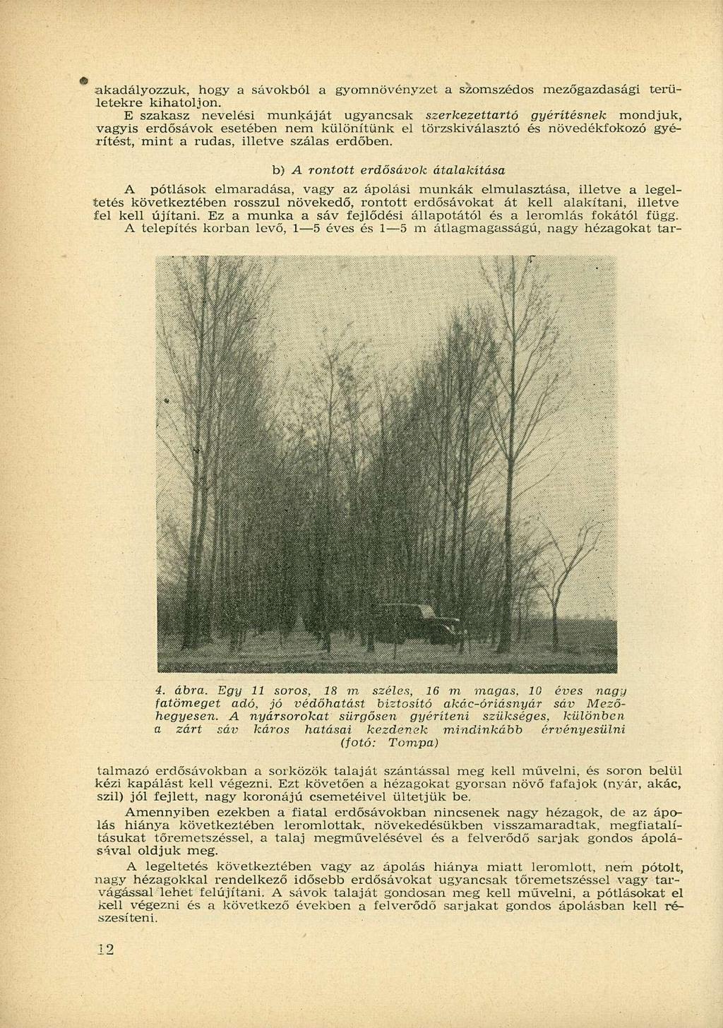 akadályozzuk, hogy a sávokból a gyomnövényzet a szomszédos mezőgazdasági területekre kihatoljon.