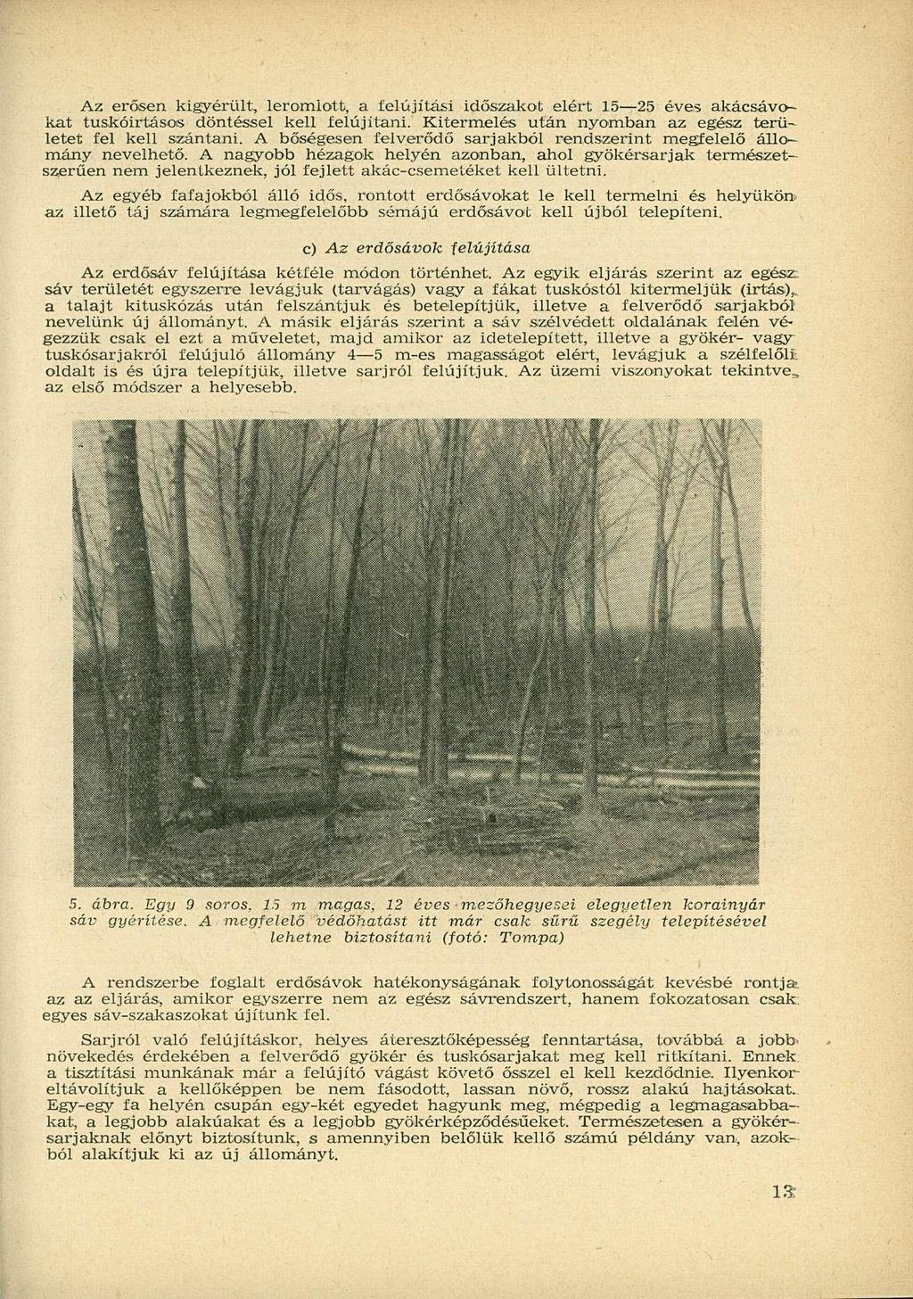 Az erősen kigyérült, leromlott, a felújítási időszakot elért 15 25 éves akácsávokat tuskóirtásos döntéssel kell felújítani. Kitermelés után nyomban az egész területet fel kell szántani.