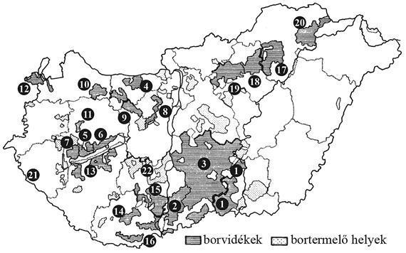 megfordult. A II. világháborút követő emberöltőnyi idő nem segítette a borászat fejlődését, ám a rendszerváltás új lendületet adott.