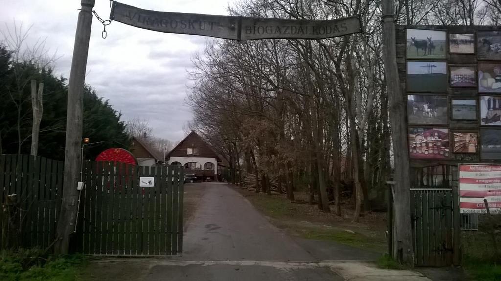 szamócát, valamint a szántón takarmánynövényeket, kukoricát, babot és tököt. Számára a fontos az egészséges, nagy beltartalmú termés.