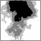 jobbak (gyakorisága 0,2) és fehér jelöli a rossz foltokat (gyakorisága 0,4). e. H = 1,0; f. H = 0,75; g.