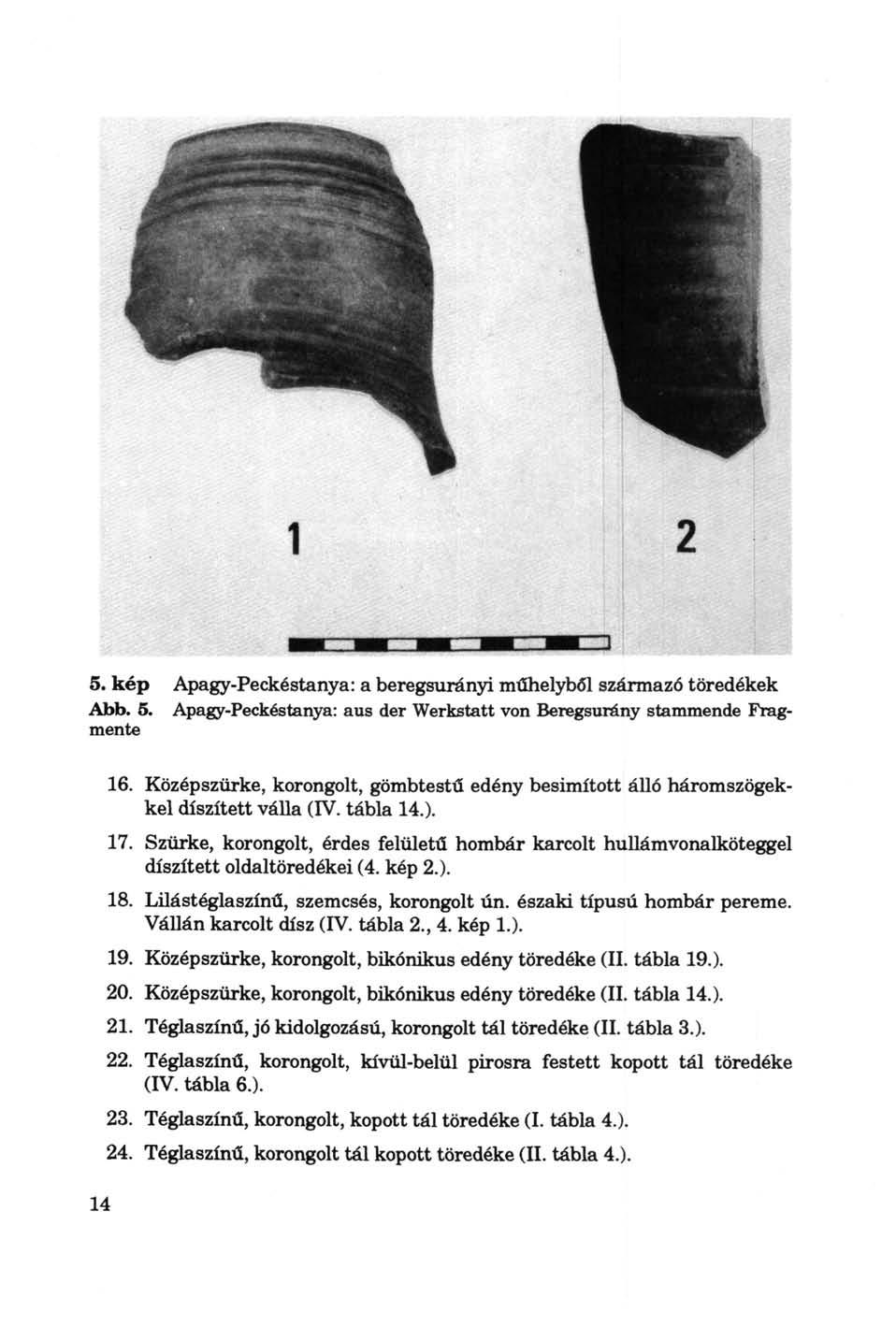 5. kép Apagy-Peckéstanya: a beregsurányi műhelyből származó töredékek Abb. 5. Apagy-Peckéstanya: aus der Werkstatt von Beregsurány stammende Fragmente 14 16.