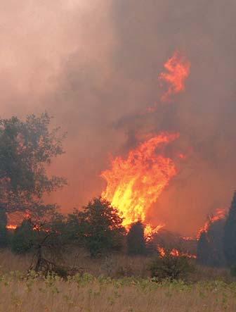 A tûznek a tûzoltáshoz történõ felhasználási lehetõségei mellett a projekt kiemelten foglalkozik az ellenõrzött tüzek alkalmazási lehetõségeinek ökológiai és ökonómiai vonatkozásaival is.