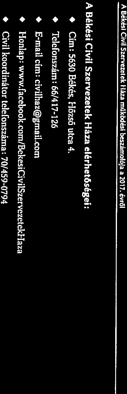 A Békési Civil Szervezetek Fiáza működési beszámolója a 2017.