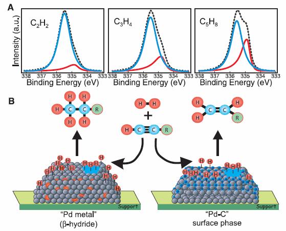 2MTA IKI FKKO, NKO 1Fritz Haber Institut der Max Planck Gesellschaft, 3Department of Chemistry, University of Glasgow, The Roles of Subsurface Carbon and Hydrogen in Palladium Catalyzed