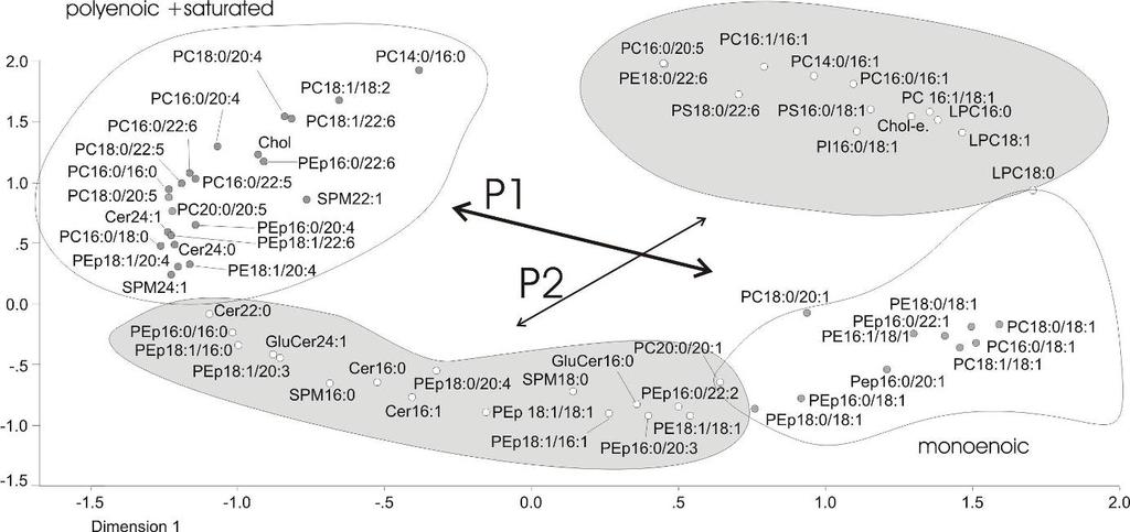 A P1 főkomponens által kijelölt halmazok reprezentálják a sejtszám változás hatására létrejövő molekulaspeciesz átrendeződéseket. A P2 komponens értelmezése további vizsgálatokat kíván.
