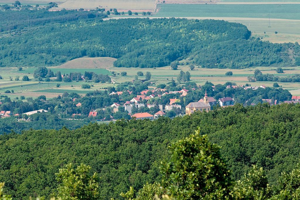 Romhányban a csata emlékére. A katona azonban nem a csata helyszínén ültette el a fát, hanem egy távolabb eső dombon.