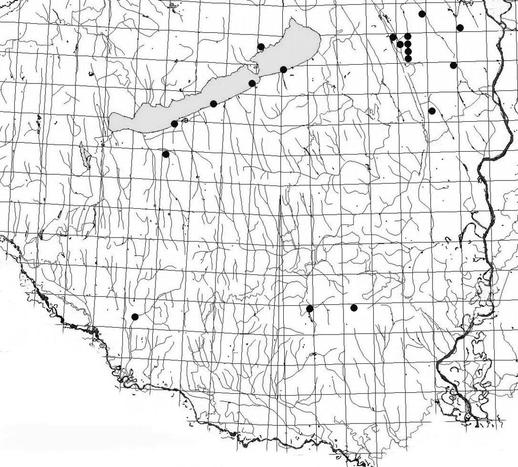 TÓTH S.: A DUNÁNTÚLI-DOMBSÁG ÉS KÖRNYÉKE SZITAKÖTŐ FAUNÁJA 83 Imágó: Apari-kistó: 2002.06.12., 2 1, TS Barcsi-borókás: 1979.07.09., 1, CSM Bogyiszlói-Holt- Duna: 2000.06.06., 1 3, TS Cigány-gödör: 2004.