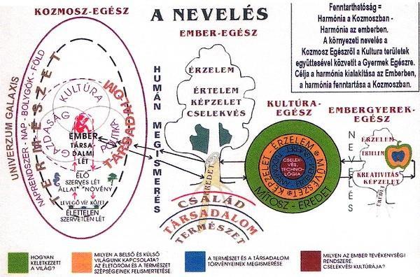 Iskolai környezeti nevelési program A környezeti nevelés tartalma világszerte, így Magyarországon is kiszélesedett, a fenntarthatóságra, az emberiség jövőjének biztosítására irányul.