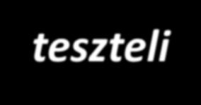 Az algoritmus implementálása: leírás programozási nyelven a fejlesztői dokumentáció alapján szétosztják a
