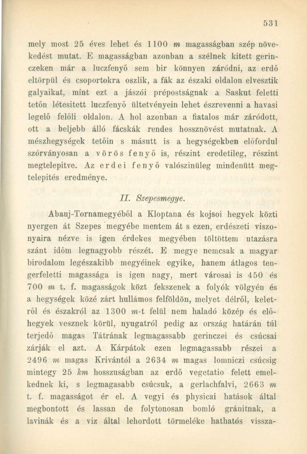 mely most 25 éves lehet és 1100 m magasságban szép növekedést mutat.