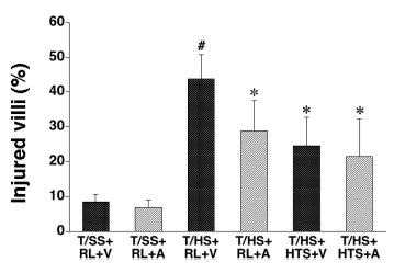vörösvértest deformabilitás csökkenést, míg az RL nem. Mindazonáltal az amilorid egyik csoportban sem javította a vörösvértest deformabilitást (2. táblázat).