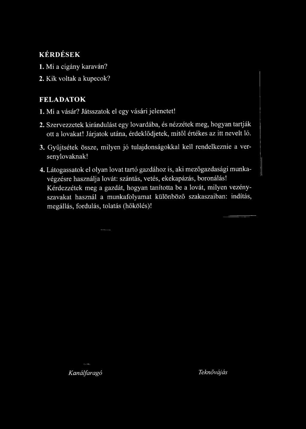 Gyűjtsétek össze, milyen jó tulajdonságokkal kell rendelkeznie a versenylovaknak! 4.