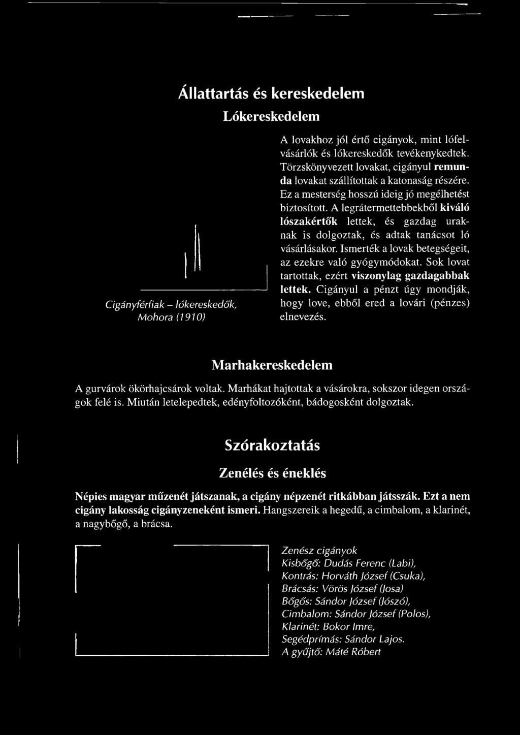 Marhákat hajtottak a vásárokra, sokszor idegen országok felé is. Miután letelepedtek, edényfoltozóként, bádogosként dolgoztak.